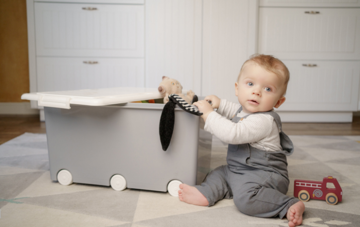 Tega Pojemnik wielofunkcyjny szary