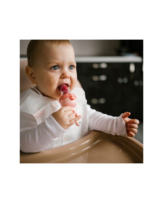 BabyOno Gryzak do podawania pokarmów Frog