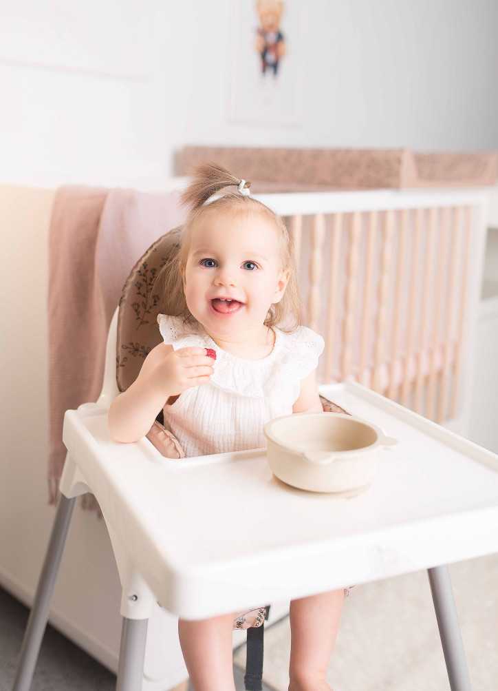 CEBA Wkład do krzesełka do karmienia 26x24x40 Basic Crazy Llama